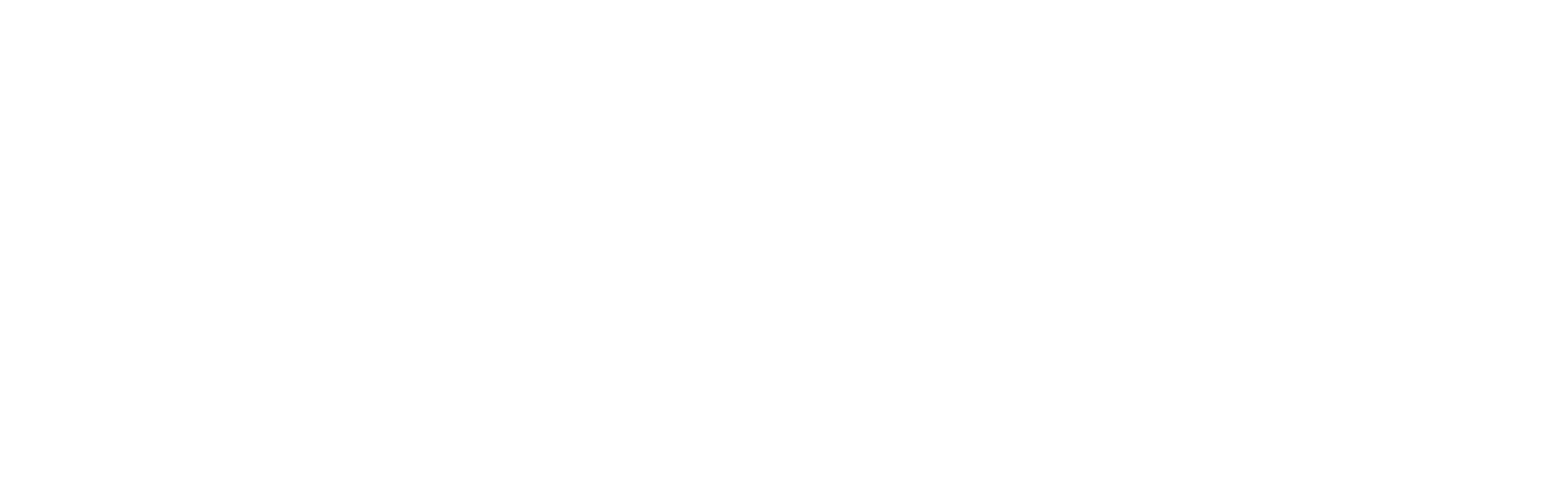 4Termin
